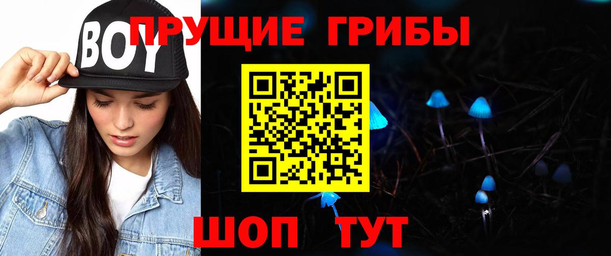 Псилоцибиновые грибы GOLDEN TEACHER Городец