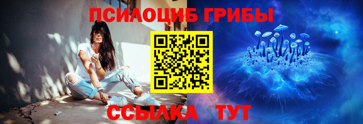 Городец  Псилоцибиновые грибы Magic Shrooms  Вход с VPN 