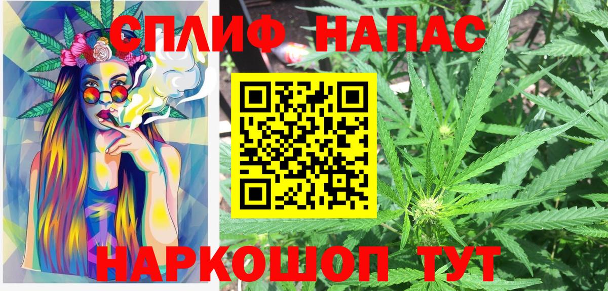 Городец  Шишки марихуана планчик  Вход с VPN  Канабис OG Kush  Бошки марихуана сатива 